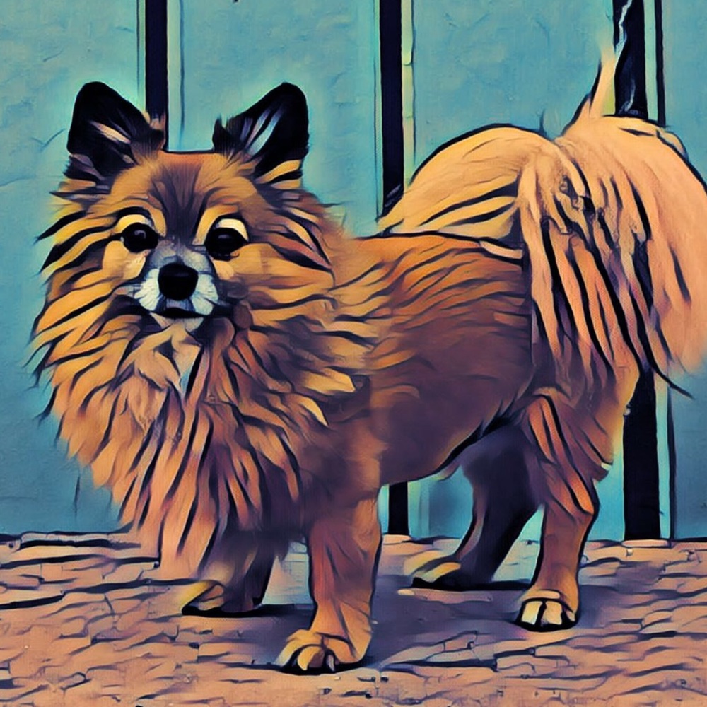 Meet your Posher, Dani